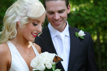 Wedding Monarchs