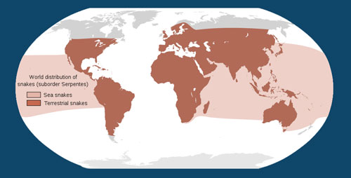 World Distribution of Snakes